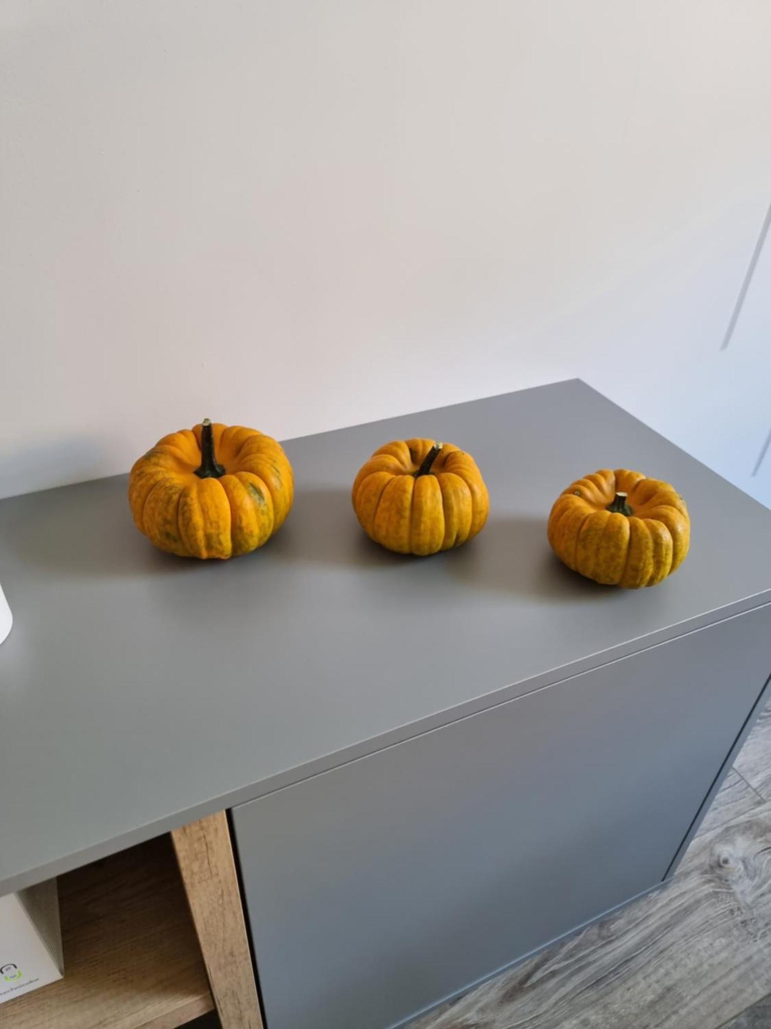 Apartament Lux Lemon 옐레니아구라 외부 사진