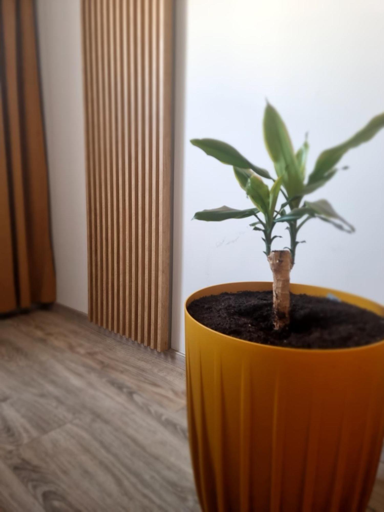 Apartament Lux Lemon 옐레니아구라 외부 사진